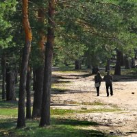 В загородном парке! :: Владимир Шошин