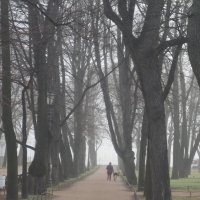 туманным утром в Александровском саду :: Елена 