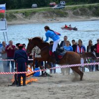 Конные показательные выступления :: Наталья Мельникова