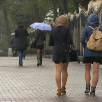 В дождливый день! :: Владимир Шошин