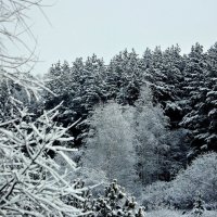 Март в Сибири :: Дарья Малькова