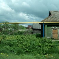 Много пустых домиков в краю Калужском. :: Ольга Кривых