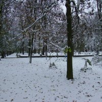 Зимняя  погода  в  Ивано - Франковске :: Андрей  Васильевич Коляскин