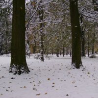 Зимняя  погода  в  Ивано - Франковске :: Андрей  Васильевич Коляскин