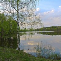 Весна пришла..! Не успеем оглянуться и...снова Зима...так хочется,чтобы лето не кончалось.. :: Алла Кочергина