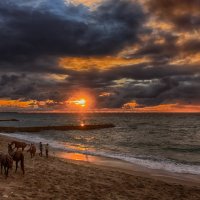 Вечер на море :: Виктор Мороз