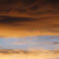 Краски вечернего неба :: Дарья Симонова