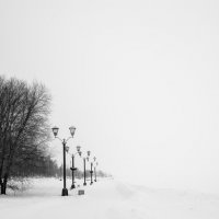 Winter silence (Зимняя тишина) :: Pavel Kiselev