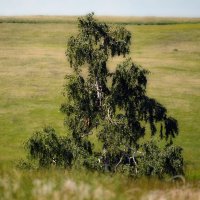 Склон бешеных молний :: Валерий Лазарев