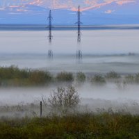 Туман. :: Николай Емелин