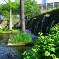 Hamburg. Planten un Blomen :: Nina Yudicheva