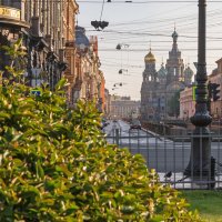 Утренние прогулки по Санкт-Петербургу :: Марат Рысбеков