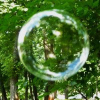 Мир сквозь мыльный пузырь :: Наталья Петракова
