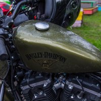 Harley-Davidson :: Игорь 