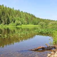 Река Ухта :: Галина Новинская