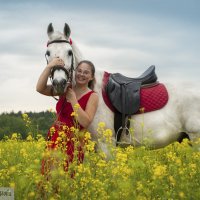 Фотосессии с лошадьми, проект "Цветочные поля" :: Светлана Козлова