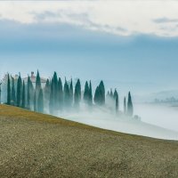 Кипарисов стройный ряд уходил в туман отряд...  Из серии "Toscana - amore mio" :: Ашот ASHOT Григорян GRIGORYAN