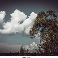 Причудливые облака :: Lik Nik