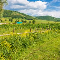 Лето в глубинке :: Любовь Потеряхина