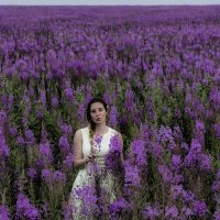 in a field of flowers :: Dmitry Ozersky