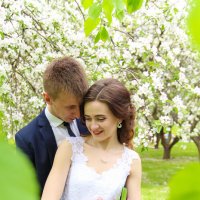 Свадьба Дмитрия и Екатерины :: Екатерина Гриб