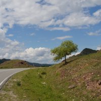 Попутная зарисовка ("Там,за поворотом...") :: Владилен Панченко