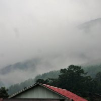 Туман после дождя :: Наталья Тимофеева