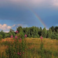 Семицветное чудо :: Павлова Татьяна Павлова