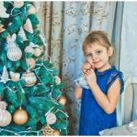 новогодние 2015-2016 :: Лиза bessonova (Zhadaeva)