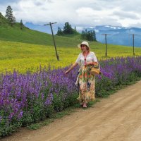 Алтайский Прованс :: Галина Шепелева