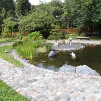 Японский уголок  ботанического сада :: Виктор Елисеев