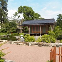 Японский  уголок ботанического сада :: Виктор Елисеев