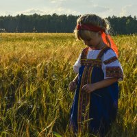 Алиса и поле :: Андрей Крючков