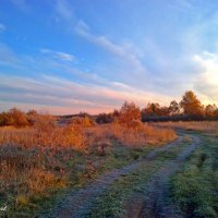 Архив - дорога в осень :: Альберт Казачёк