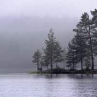 Лесное озеро :: Владимир Миронов