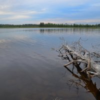На озере :: Владимир Брагилевский