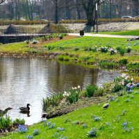 Hamburg. Planten un Blomen :: Nina Yudicheva