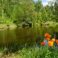 Радость солнечного света :: Галина Подлопушная