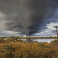 Selisoo. Estonia :: Дима Хессе