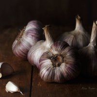 Garlic :: Katie Voskresenskaia