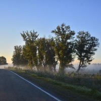 Туманное утро в дороге :: юрий Амосов