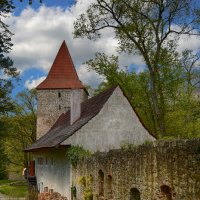Замок Звиков, Чехия :: Priv Arter