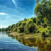 Днепровские затоки. :: Константин Ушмаев