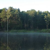 Утренняя рыбалка прекрасна :: Валерия 