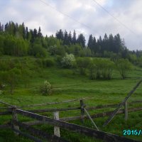 В  Ворохте :: Андрей  Васильевич Коляскин