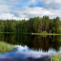 Лесное озеро :: Руслан Веселов