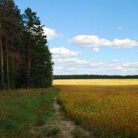 Первый день осени :: Александр Спрыгин