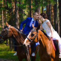 прогулка с лошадьми :: Анна Удальцова 
