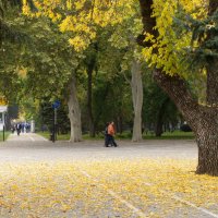 Осень в Краснодаре. :: Валерия Калашникова