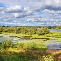 Березина  в  Елизово. :: Валера39 Василевский.